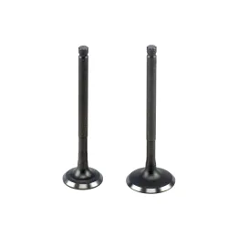 JGO. VALVULAS C/RETEN VTC WAVE 110/CB 125 2PCS