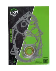 JGO. JUNTAS MOTOR CKM AX 100