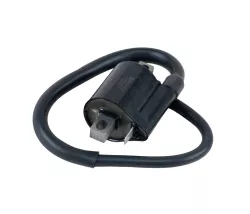 BOBINA GAUSS BIZ/C100/C100ES